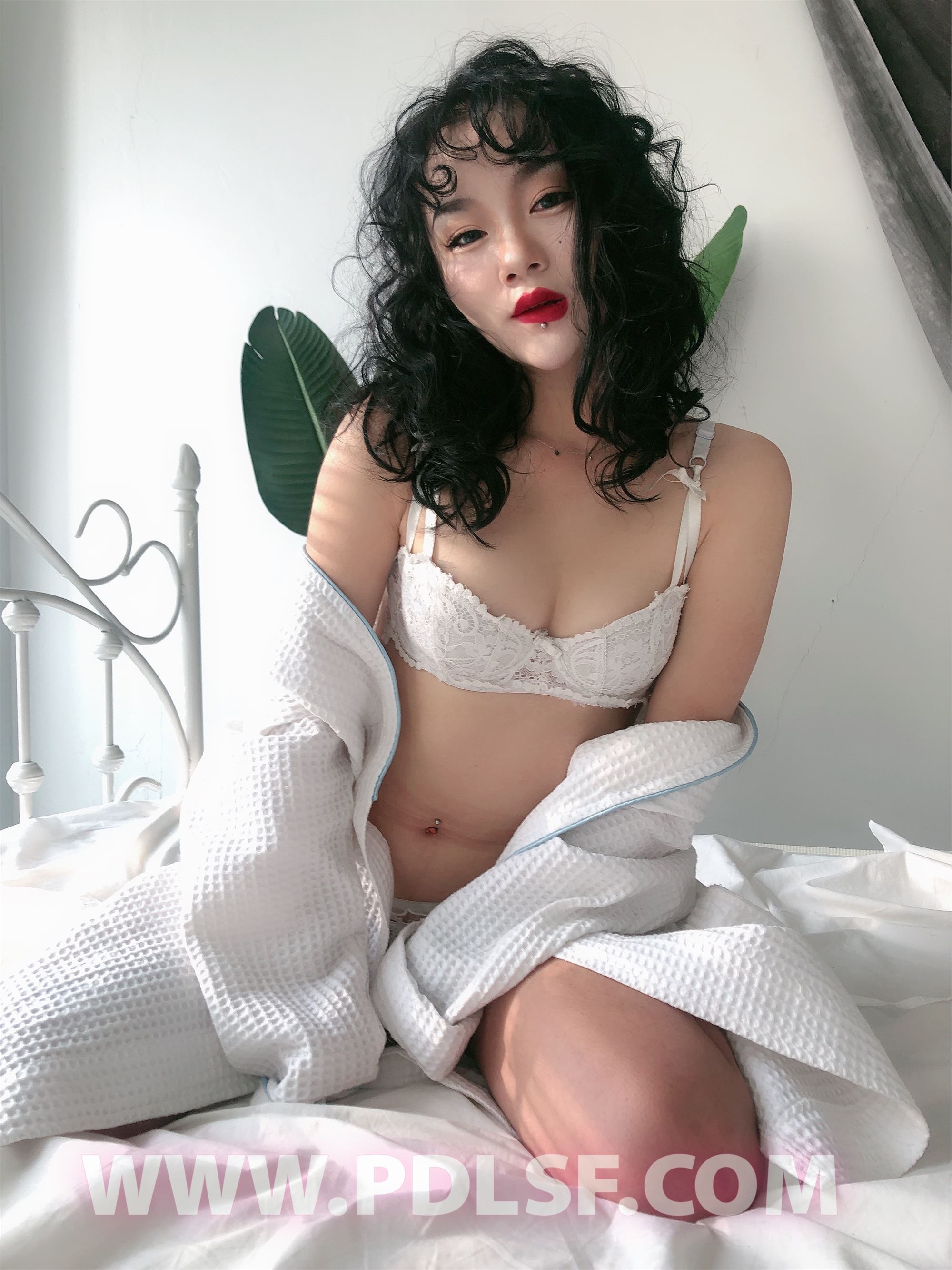 PDL潘多拉 2020.02.03 专辑No.277